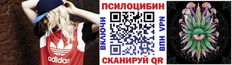 OMG ССЫЛКА  Перевоз  Галлюциногенные грибы Psilocybine cubensis  закладка 